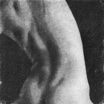 Nude study, human figure - wintergreen oil image transfer