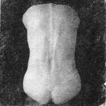 Nude study, female figure - wintergreen oil image transfer