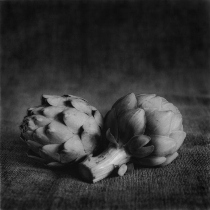 Black and white photograph of two artichokes