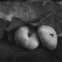 Black and white photograph of peaches in front of natural stone