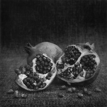 Black and white photograph of pomegranates